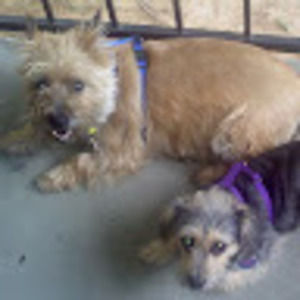 Meet your Posher, Joanne